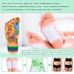 🔥 Parches Kinokis desintoxicantes: 100 Unidades 🔥